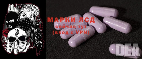 ГАЛЛЮЦИНОГЕННЫЕ ГРИБЫ Аркадак