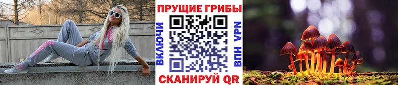 Псилоцибиновые грибы Psilocybine cubensis Строитель